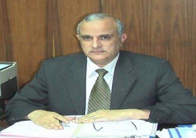 الدكتور إبراهيم عبدالوهاب سالم- نائب رئيس جامعة طنطا